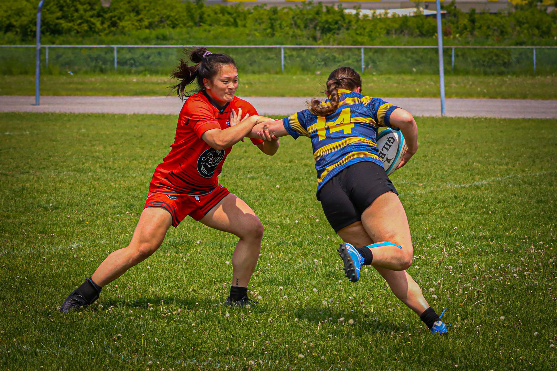  Club de Rugby de Québec - Town of Mount Royal RFC - Rugby - RQ 2025 - SL F - Club de Rugby de Québec (54) vs (12) TMR (#RQ25SLFQCTMR6) Photo by: Photo Mayarts | Siuxy Sports 2025-06-07