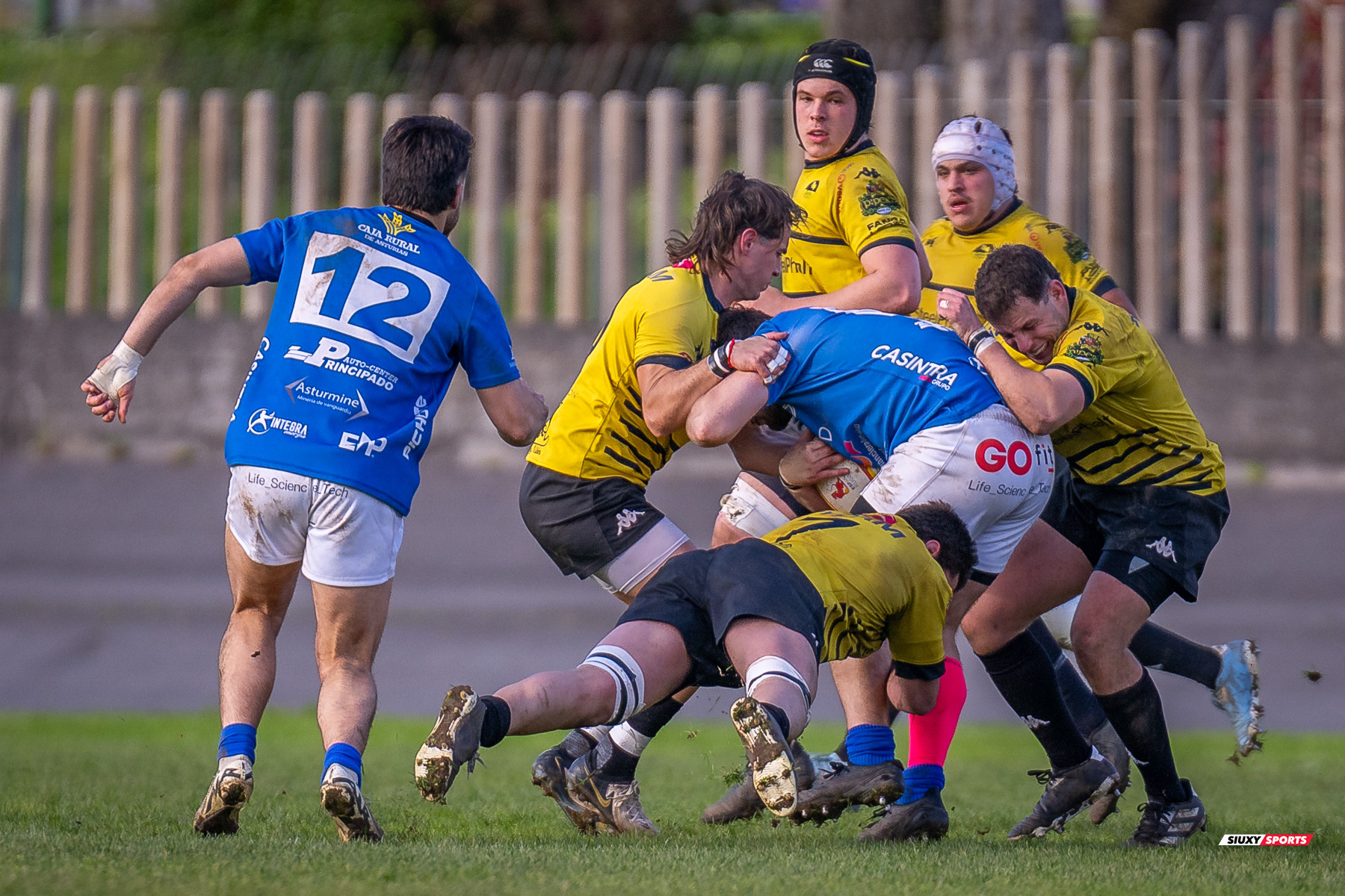  Getxo Artea Rugby Taldea - Real Oviedo Rugby - Rugby - FER 2025 - DHB - Getxo RT (43) vs (19) Oviedo (#FER25DHBGRTOVI03) Photo by: Fredy Monfoto | Siuxy Sports 2025-03-29