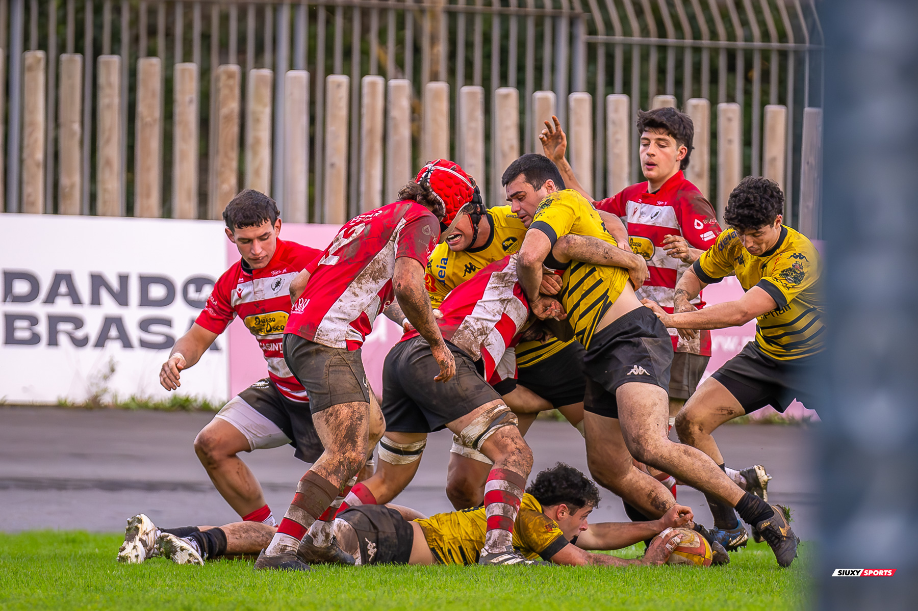  Getxo Artea Rugby Taldea - Gijon Rugby Club - Rugby - FER 2025 - DHB - Getxo RT (108) vs (0) Gijon RC (#FER25DHBGRTGRC1) Photo by: Fredy Monfoto | Siuxy Sports 2025-01-11