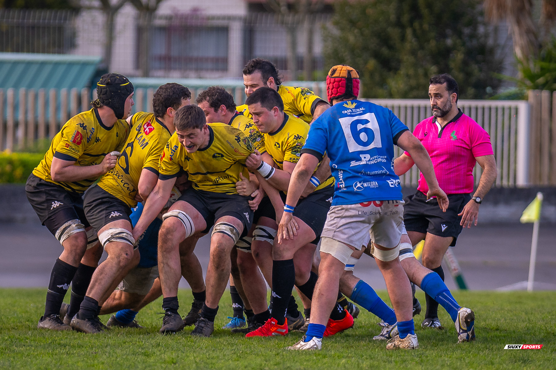  Getxo Artea Rugby Taldea - Real Oviedo Rugby - Rugby - FER 2025 - DHB - Getxo RT (43) vs (19) Oviedo (#FER25DHBGRTOVI03) Photo by: Fredy Monfoto | Siuxy Sports 2025-03-29