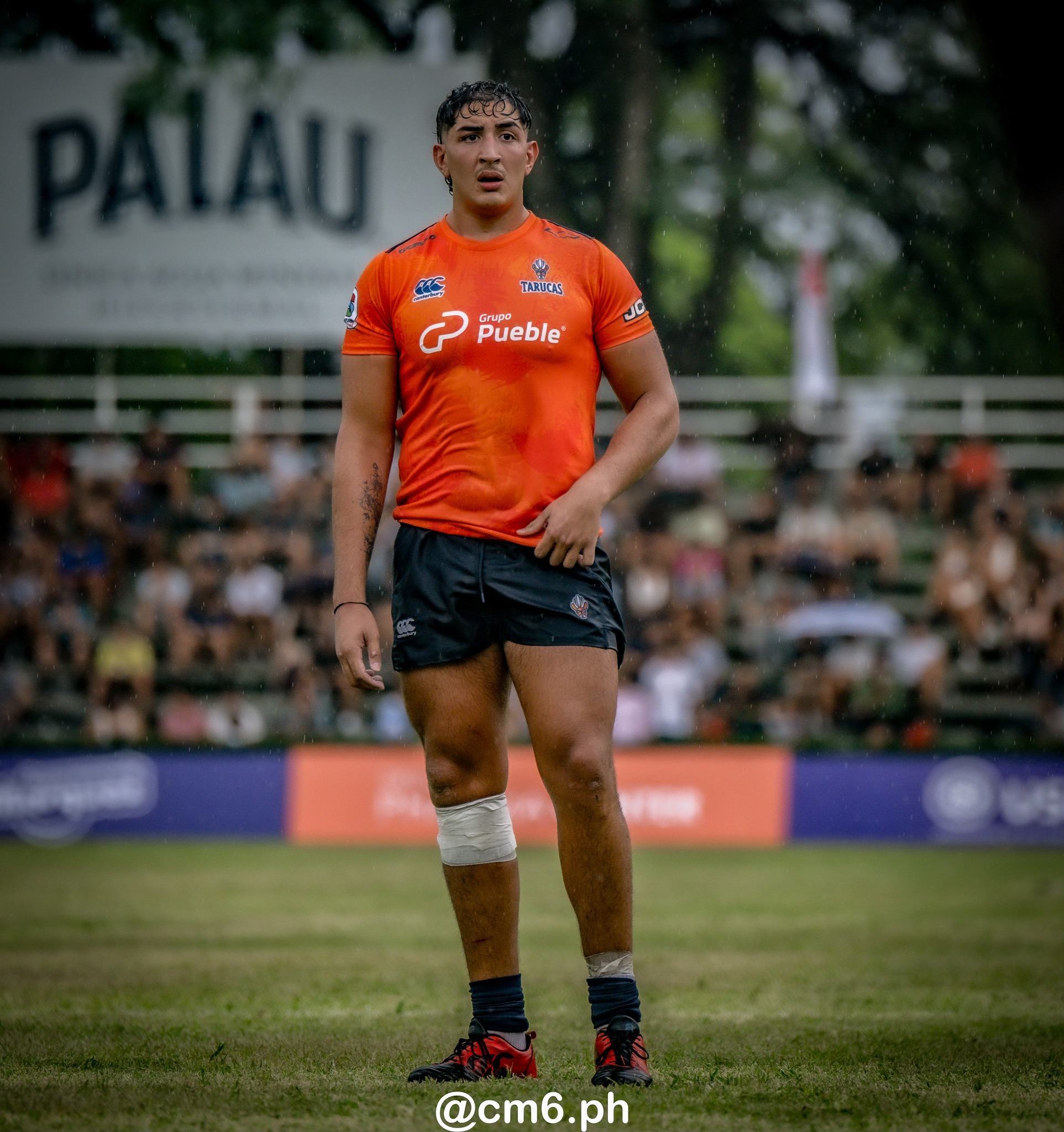  Tarucas - Cobras - Rugby - SRA 2025 - Fecha 1 - Tarucas (45) vs (6) Cobras (#SRA25TARCOB02) Photo by: Christian Mas | Siuxy Sports 2025-02-15