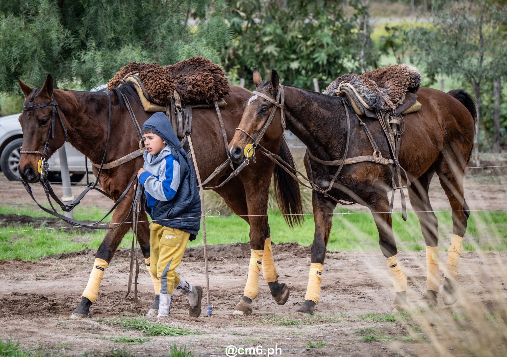   -  - Pato - Torneo Nacional de Pato dia de la Independencia Argentina (#2025PATOINDAR) Photo by: Christian Mas | Siuxy Sports 2025-07-12