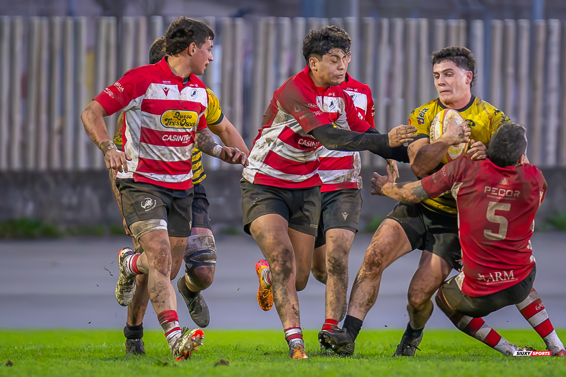  Getxo Artea Rugby Taldea - Gijon Rugby Club - Rugby - FER 2025 - DHB - Getxo RT (108) vs (0) Gijon RC (#FER25DHBGRTGRC1) Photo by: Fredy Monfoto | Siuxy Sports 2025-01-11