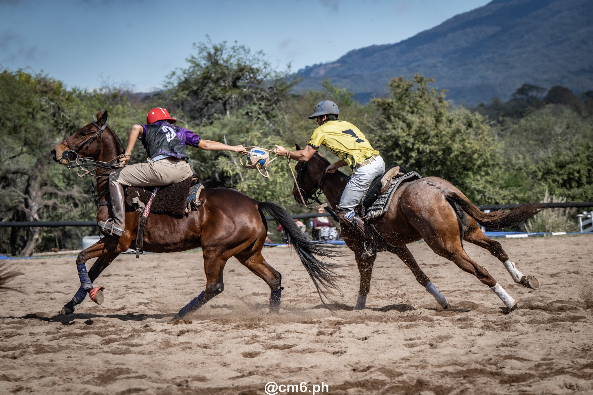   -  - Pato - Torneo Nacional de Pato dia de la Independencia Argentina (#2025PATOINDAR) Photo by: Christian Mas | Siuxy Sports 2025-07-12