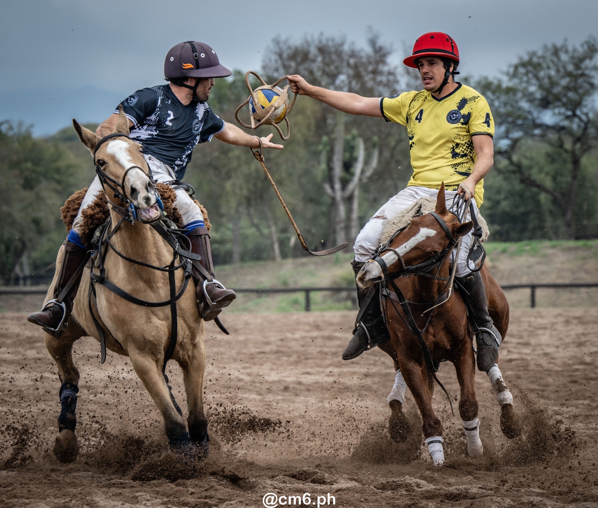   -  - Pato - Torneo Nacional de Pato dia de la Independencia Argentina (#2025PATOINDAR) Photo by: Christian Mas | Siuxy Sports 2025-07-12