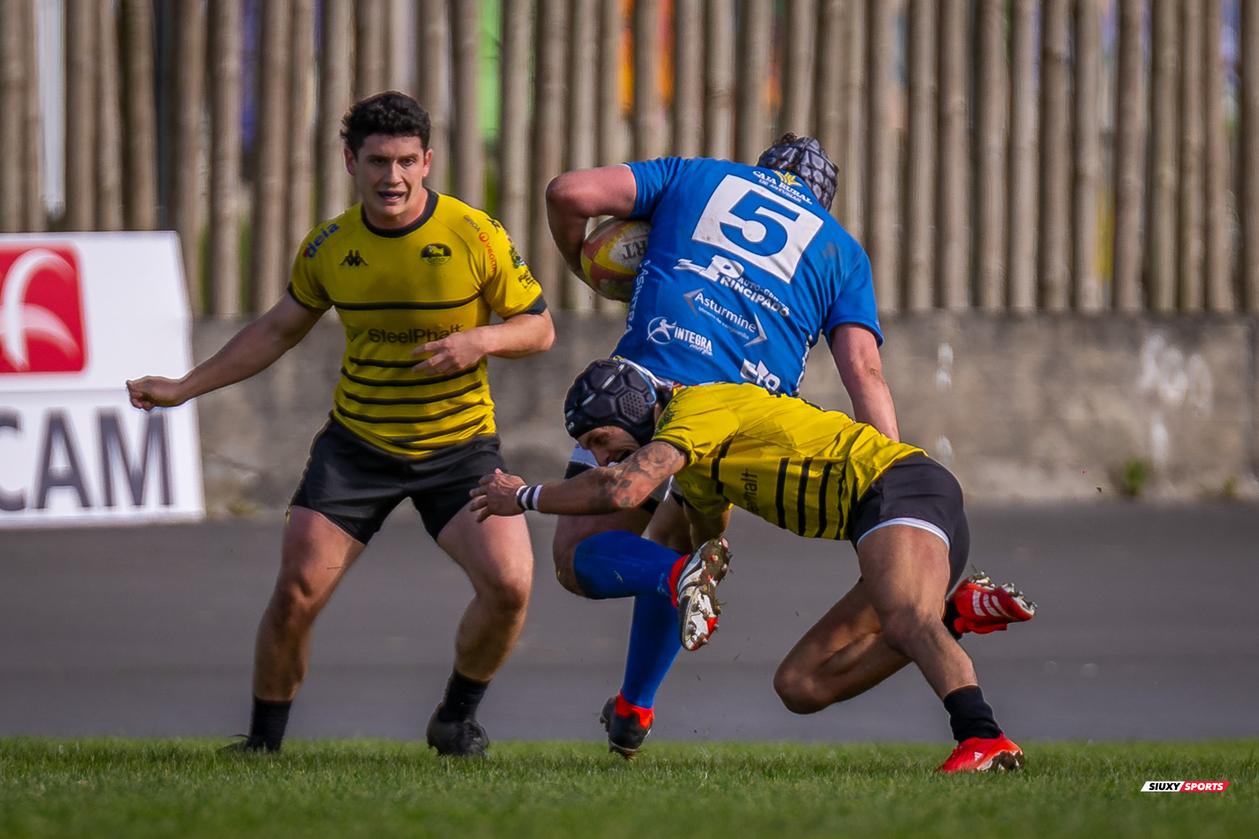  Getxo Artea Rugby Taldea - Real Oviedo Rugby - Rugby - FER 2025 - DHB - Getxo RT (43) vs (19) Oviedo (#FER25DHBGRTOVI03) Photo by: Fredy Monfoto | Siuxy Sports 2025-03-29