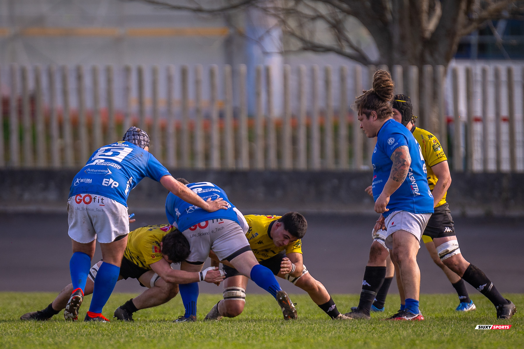  Getxo Artea Rugby Taldea - Real Oviedo Rugby - Rugby - FER 2025 - DHB - Getxo RT (43) vs (19) Oviedo (#FER25DHBGRTOVI03) Photo by: Fredy Monfoto | Siuxy Sports 2025-03-29
