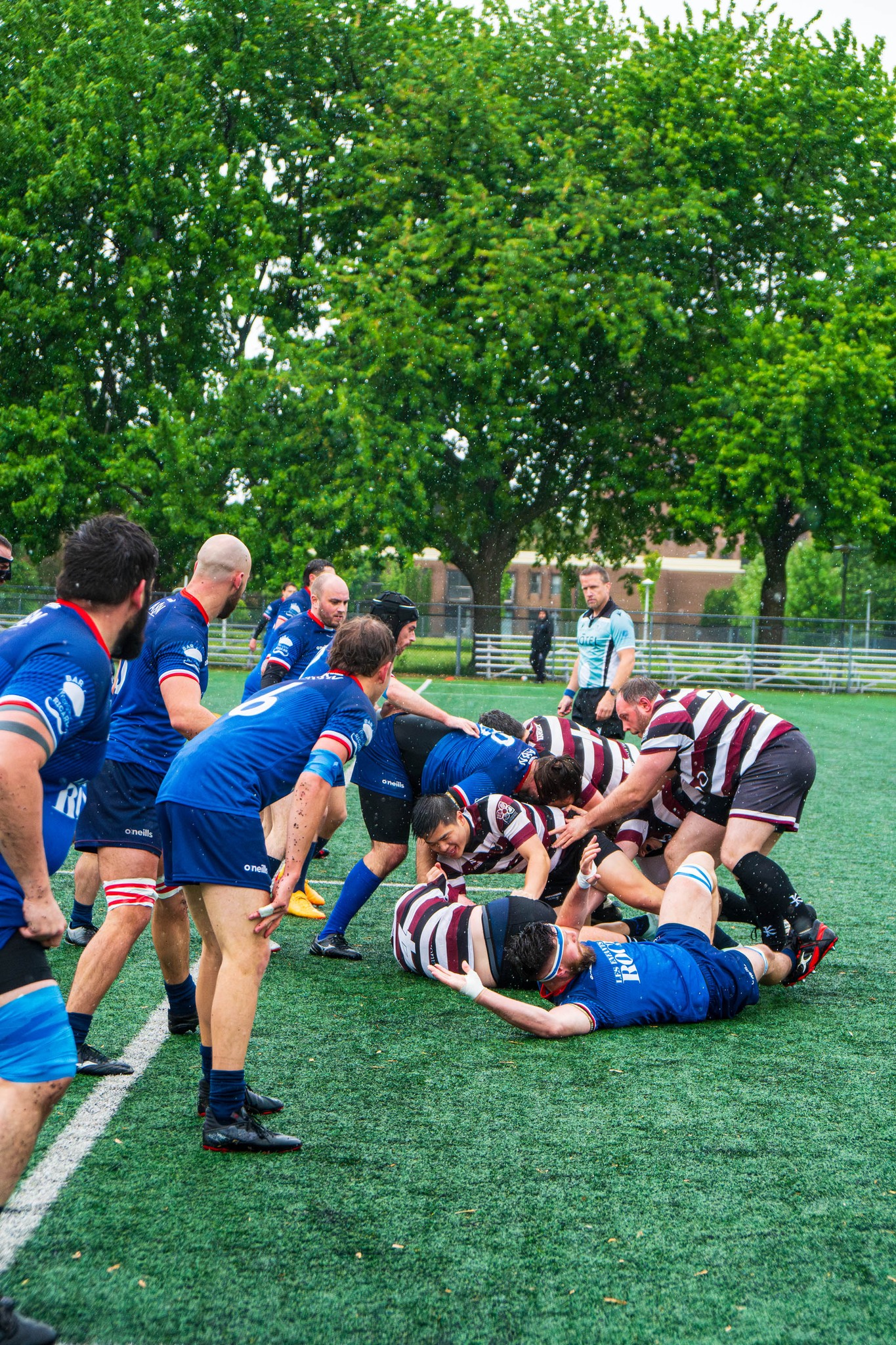 Rugby XV de Montréal - Westmount Rugby Club - Rugby - RQ 2025 - LP1M - XV de Montréal vs Westmount RC (#RQ25LP1XVMW5) Photo by:  | Siuxy Sports 2025-05-31