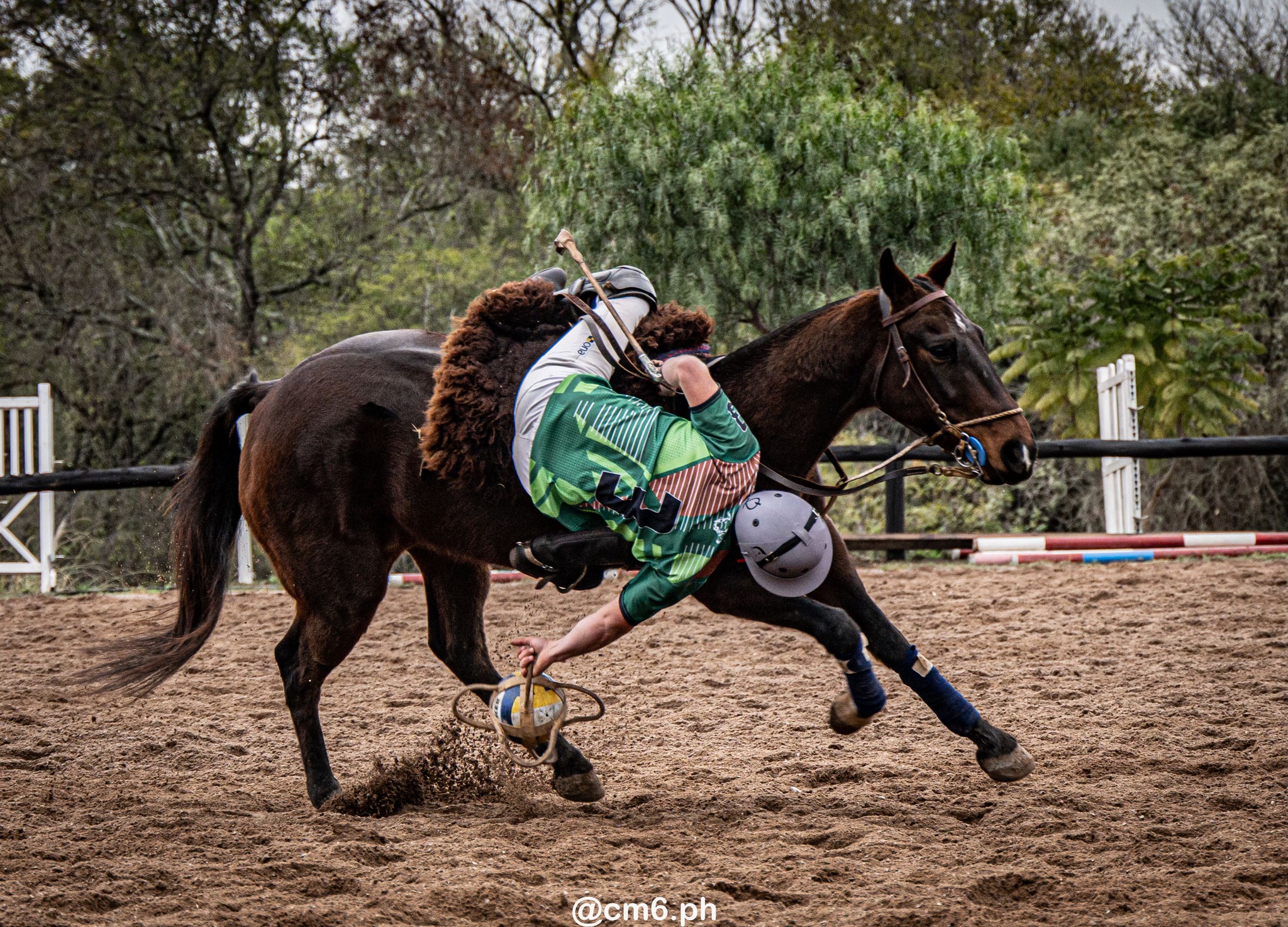   -  - Pato - Torneo Nacional de Pato dia de la Independencia Argentina (#2025PATOINDAR) Photo by: Christian Mas | Siuxy Sports 2025-07-12