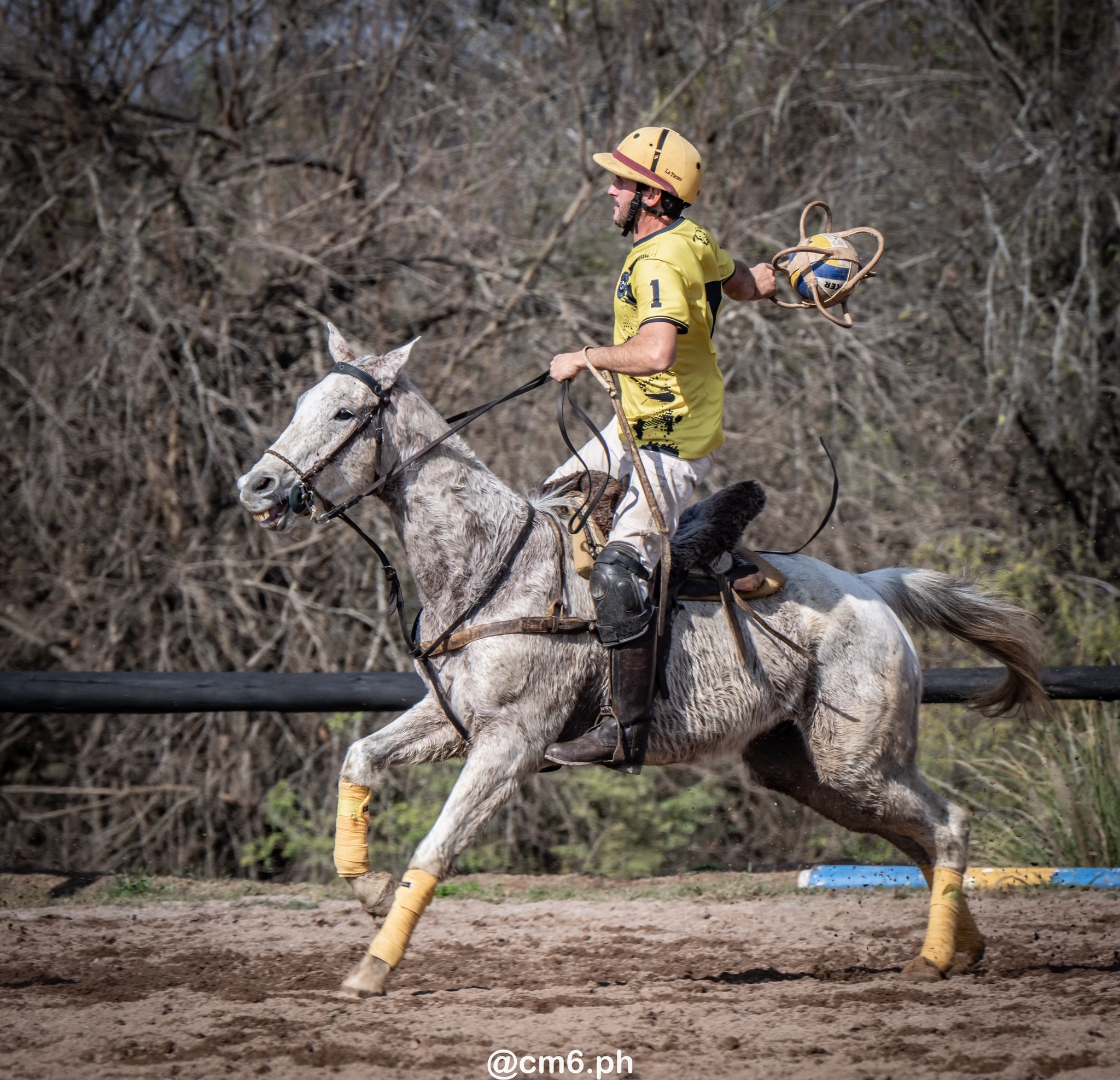   -  - Pato - Torneo Nacional de Pato dia de la Independencia Argentina (#2025PATOINDAR) Photo by: Christian Mas | Siuxy Sports 2025-07-12