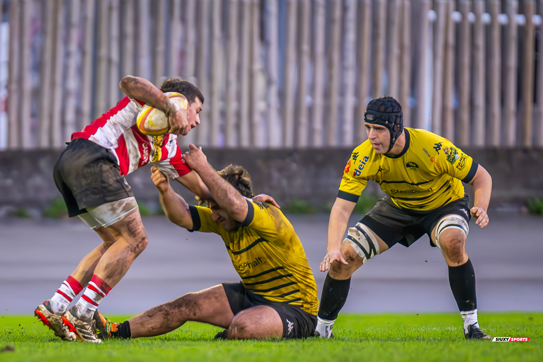  Getxo Artea Rugby Taldea - Gijon Rugby Club - Rugby - FER 2025 - DHB - Getxo RT (108) vs (0) Gijon RC (#FER25DHBGRTGRC1) Photo by: Fredy Monfoto | Siuxy Sports 2025-01-11