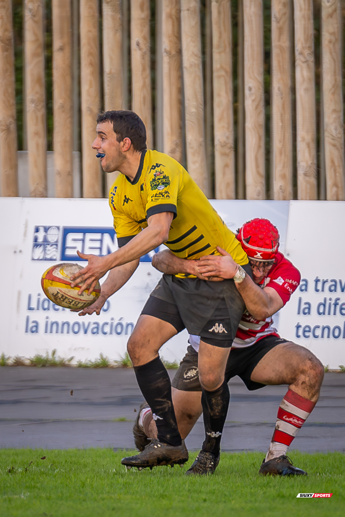  Getxo Artea Rugby Taldea - Gijon Rugby Club - Rugby - FER 2025 - DHB - Getxo RT (108) vs (0) Gijon RC (#FER25DHBGRTGRC1) Photo by: Fredy Monfoto | Siuxy Sports 2025-01-11