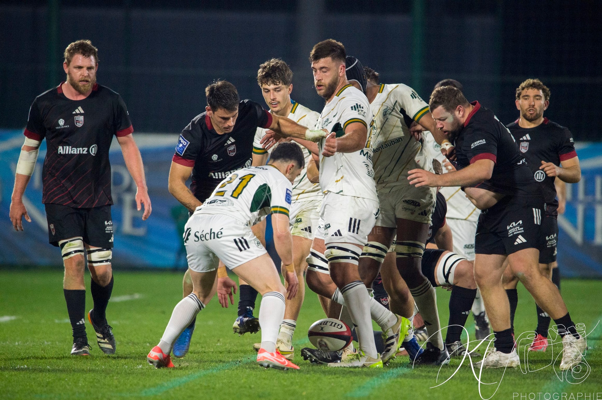  Stade niçois - US Montauban - Rugby - FFR 2025 - Pro D2 - Stade Niçois (7) vs (15) US Montauban (#PD225PD2SNUSM02) Photo by: Karine Valentin | Siuxy Sports 2025-02-21