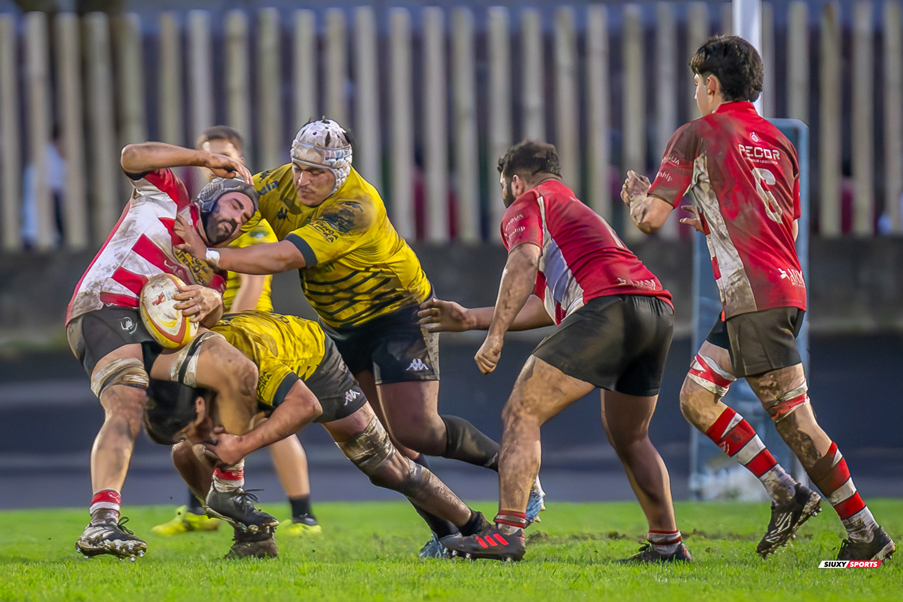  Getxo Artea Rugby Taldea - Gijon Rugby Club - Rugby - FER 2025 - DHB - Getxo RT (108) vs (0) Gijon RC (#FER25DHBGRTGRC1) Photo by: Fredy Monfoto | Siuxy Sports 2025-01-11