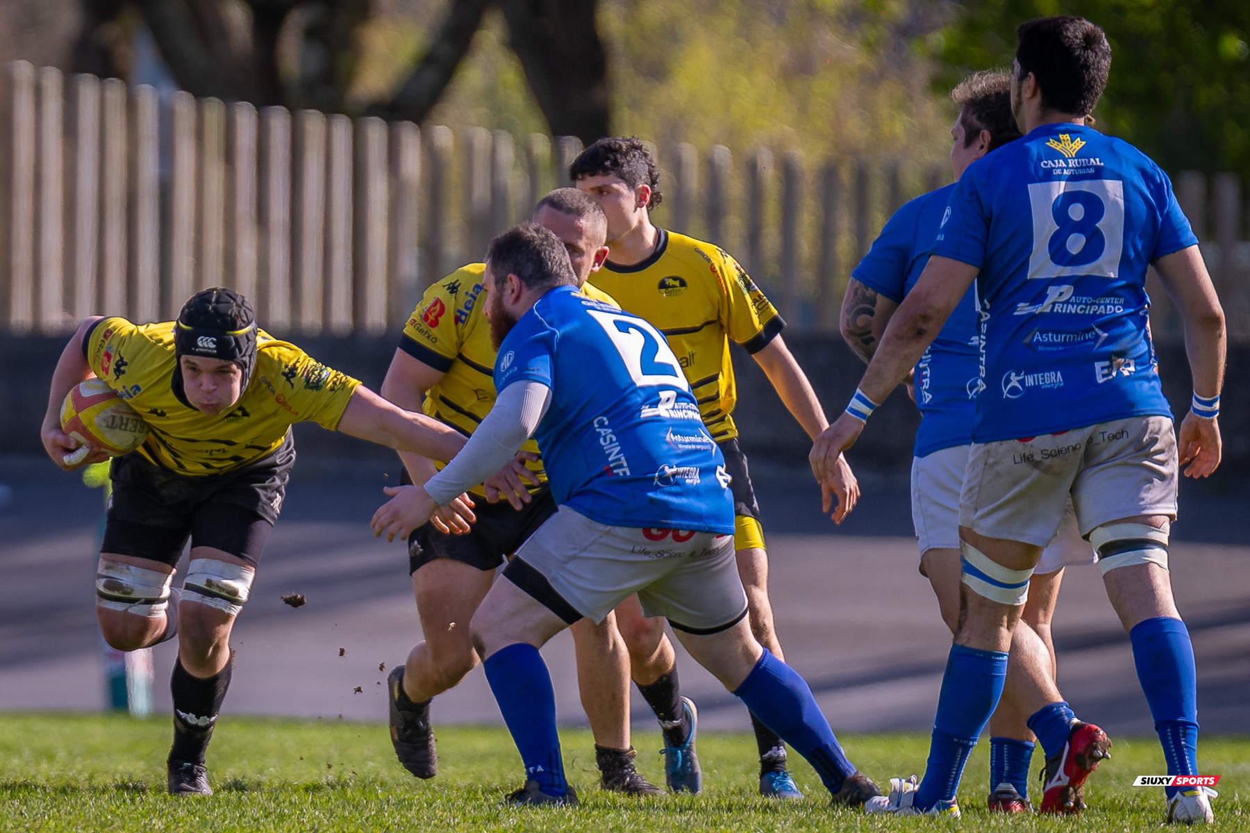  Getxo Artea Rugby Taldea - Real Oviedo Rugby - Rugby - FER 2025 - DHB - Getxo RT (43) vs (19) Oviedo (#FER25DHBGRTOVI03) Photo by: Fredy Monfoto | Siuxy Sports 2025-03-29