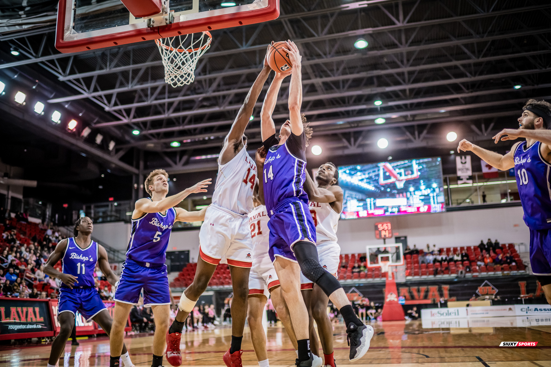  Université Laval - Bishop's University - Basketball - RSEQ 2025 - Basketball M - U.Laval (65) vs (73) Bishop's (#RSEQ25BMULBI02) Photo by: Louis Charland | Siuxy Sports 2025-02-01