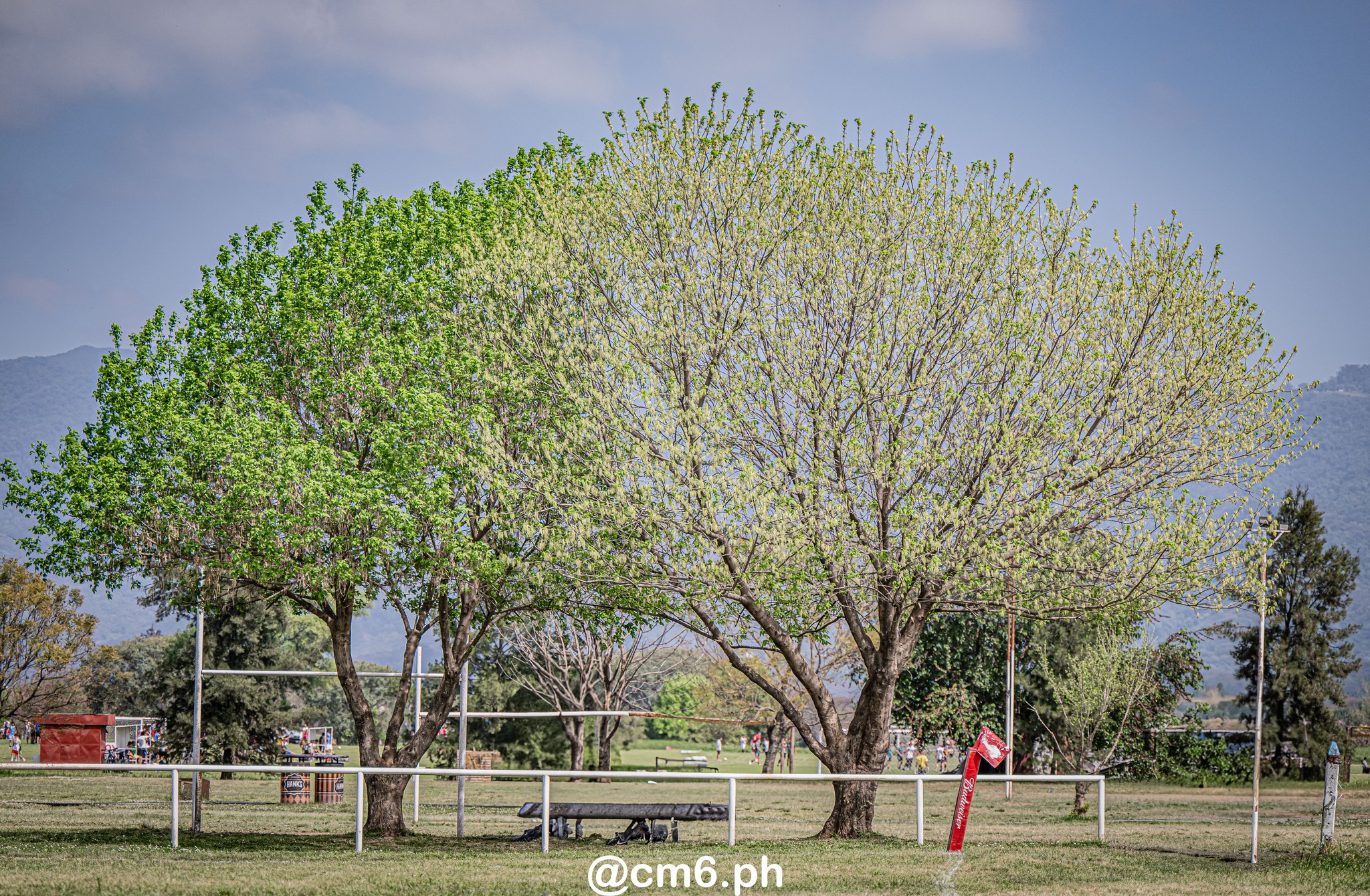  Jockey Club (Tucuman) - Universitario Rugby Club - Tucuman - Rugby - URT 2025 - M 15 - Jockey Club vs Universitario (#URT25M15JU09) Photo by: Christian Mas | Siuxy Sports 2025-09-21