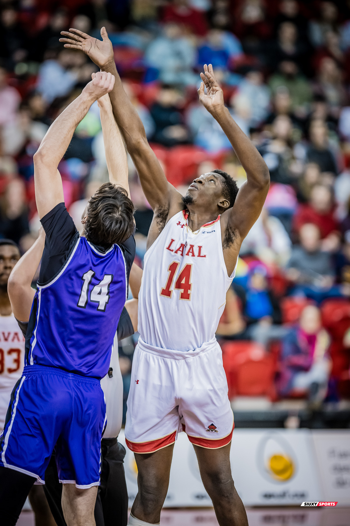  Université Laval - Bishop's University - Basketball - RSEQ 2025 - Basketball M - U.Laval (65) vs (73) Bishop's (#RSEQ25BMULBI02) Photo by: Louis Charland | Siuxy Sports 2025-02-01