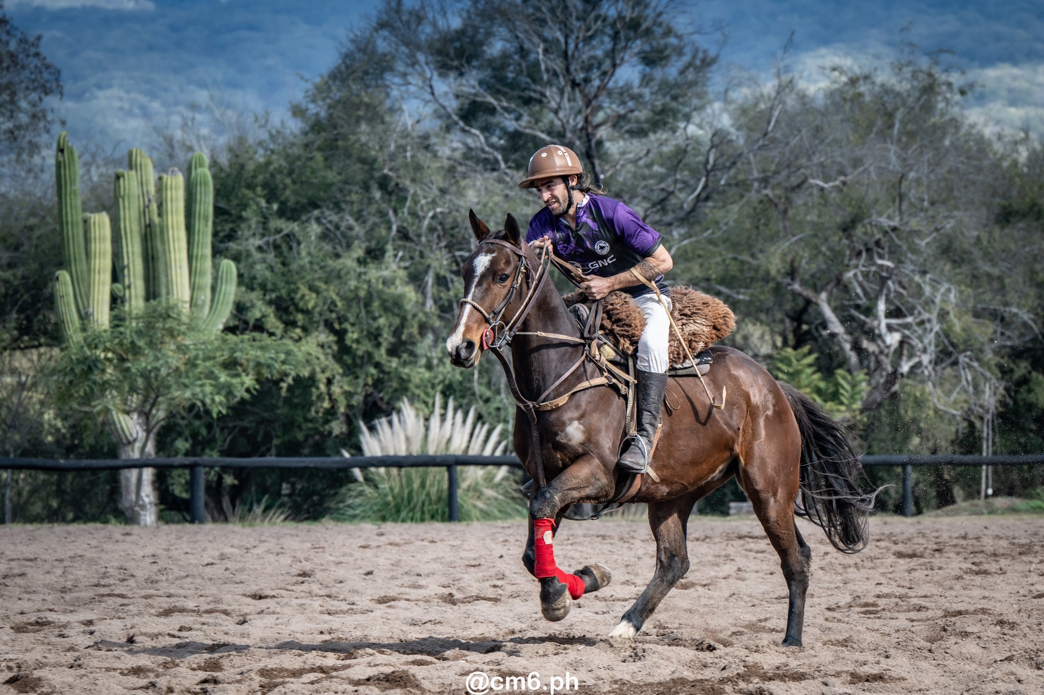   -  - Pato - Torneo Nacional de Pato dia de la Independencia Argentina (#2025PATOINDAR) Photo by: Christian Mas | Siuxy Sports 2025-07-12