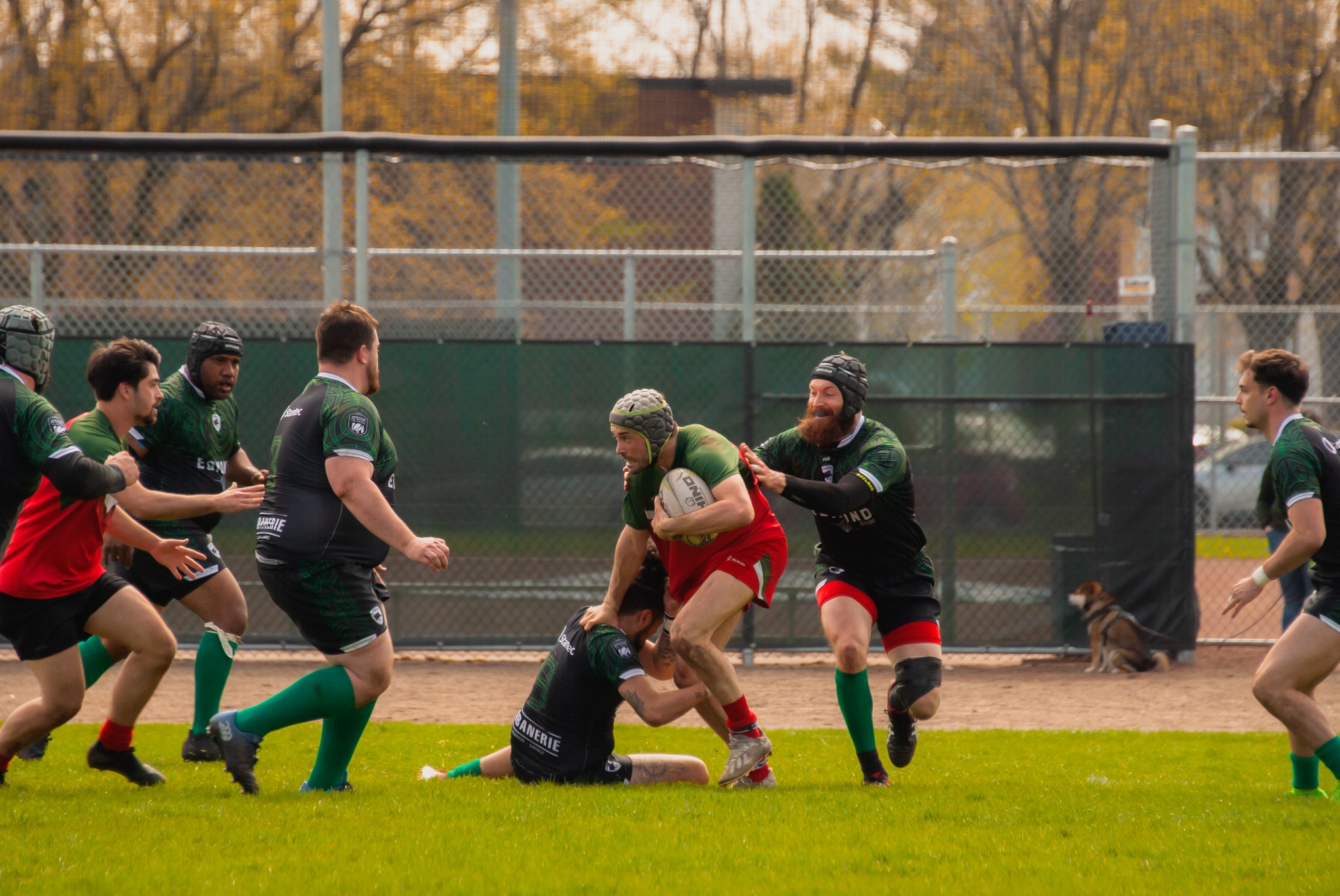  Club de rugby Nomades de Laval - Rugby Club de Montréal - Rugby - RQ 2024 - LPR2 - Nomades vs RCMXV (#RQ24LP2NOMRCX) Photo by: Coraline Brochet | Siuxy Sports 2024-05-04