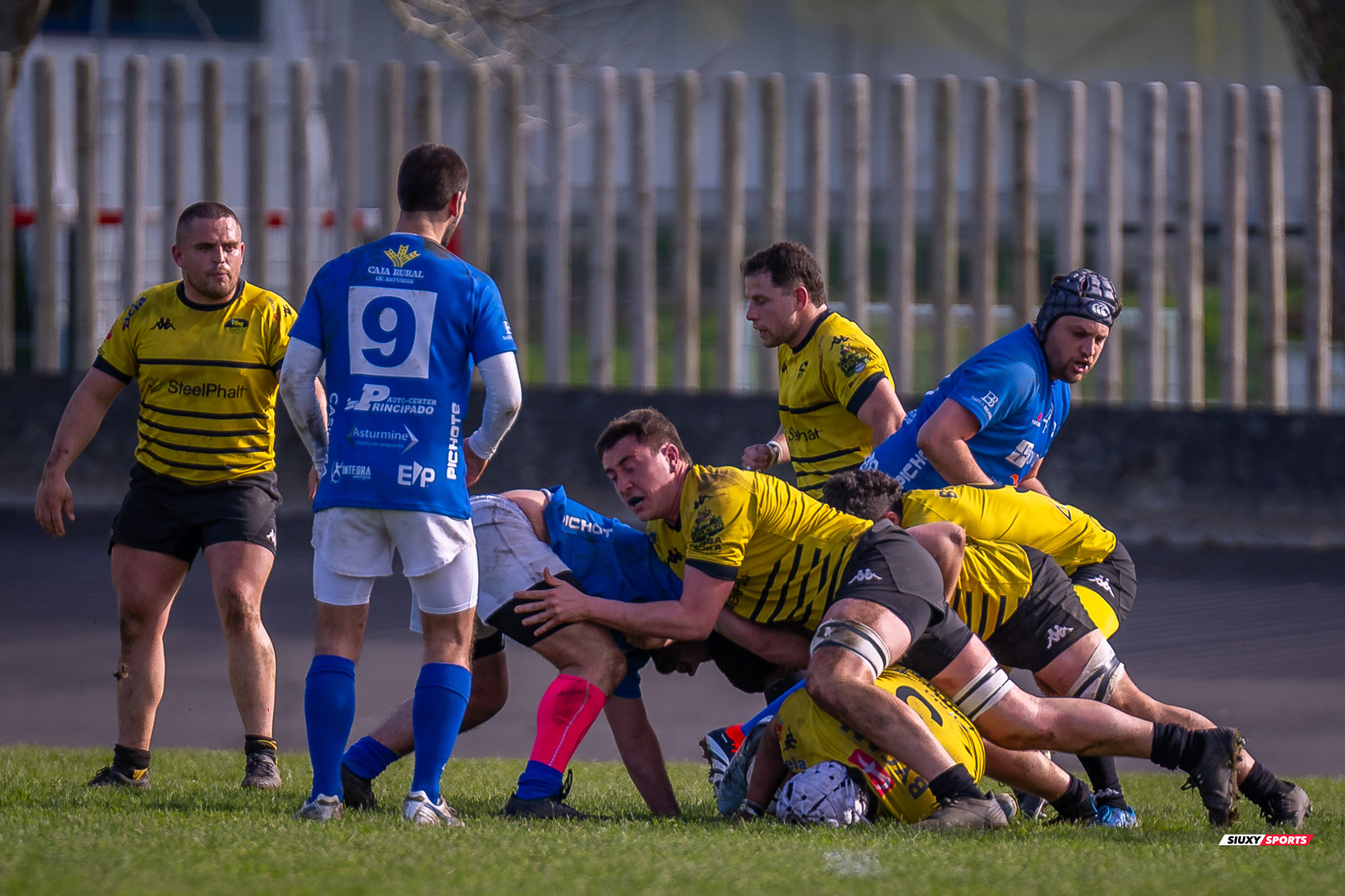  Getxo Artea Rugby Taldea - Real Oviedo Rugby - Rugby - FER 2025 - DHB - Getxo RT (43) vs (19) Oviedo (#FER25DHBGRTOVI03) Photo by: Fredy Monfoto | Siuxy Sports 2025-03-29