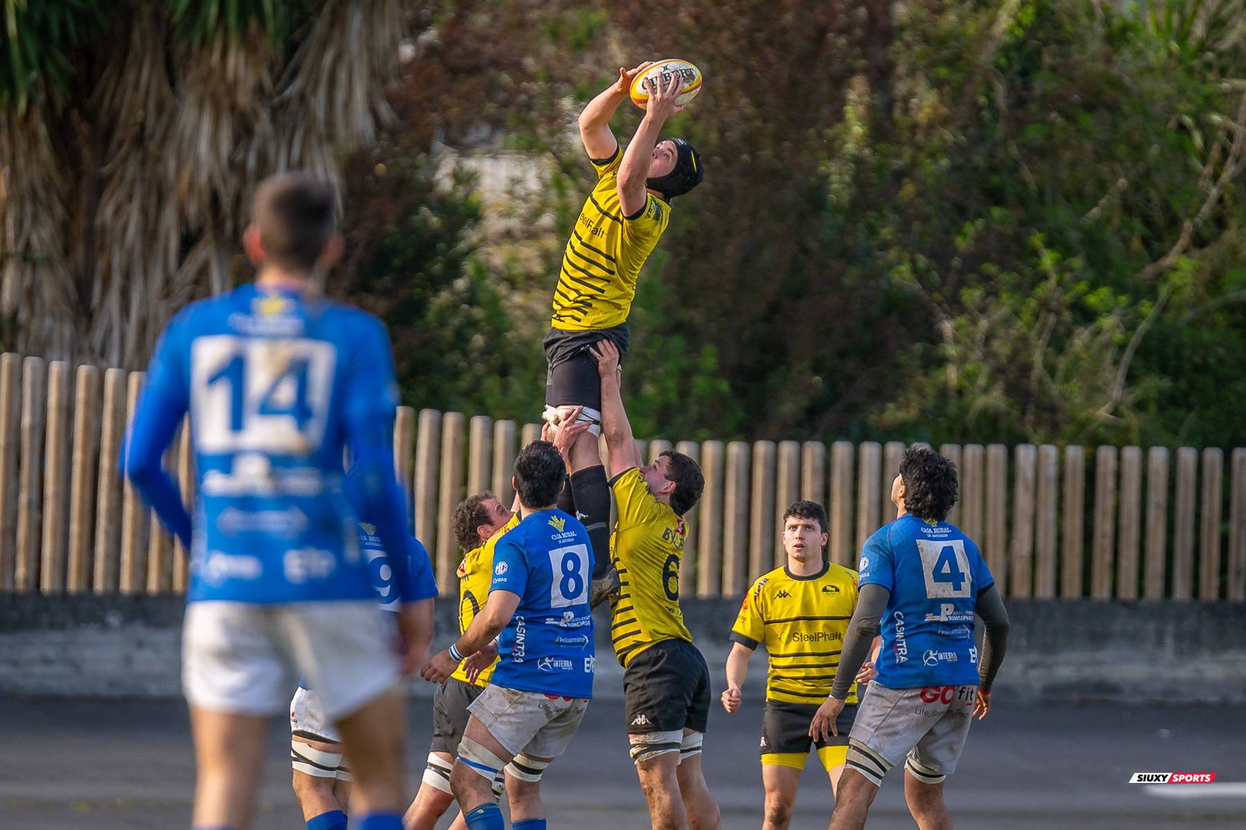  Getxo Artea Rugby Taldea - Real Oviedo Rugby - Rugby - FER 2025 - DHB - Getxo RT (43) vs (19) Oviedo (#FER25DHBGRTOVI03) Photo by: Fredy Monfoto | Siuxy Sports 2025-03-29