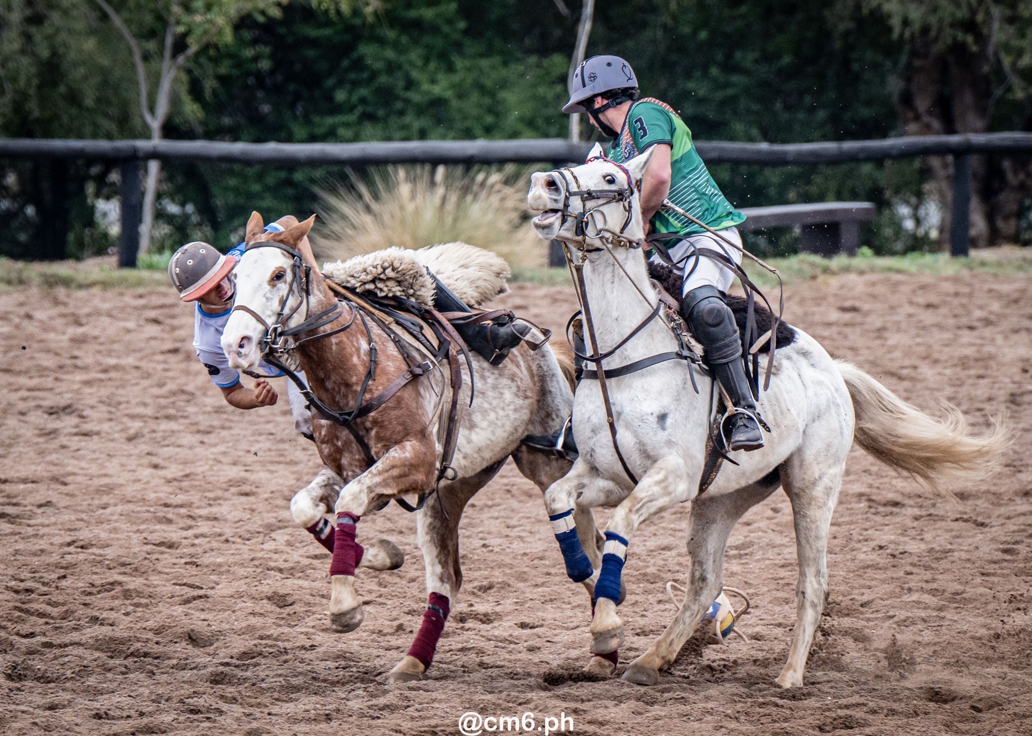   -  - Pato - Torneo Nacional de Pato dia de la Independencia Argentina (#2025PATOINDAR) Photo by: Christian Mas | Siuxy Sports 2025-07-12