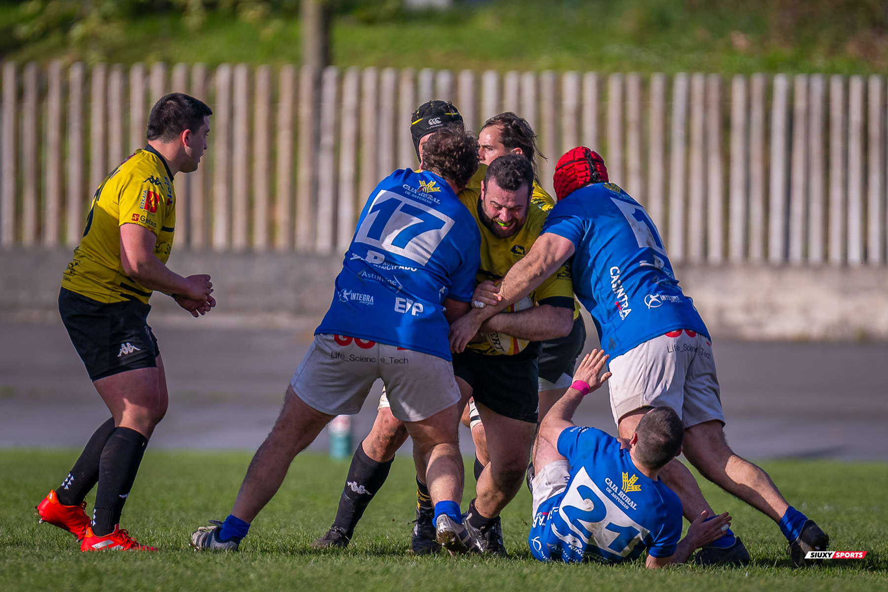  Getxo Artea Rugby Taldea - Real Oviedo Rugby - Rugby - FER 2025 - DHB - Getxo RT (43) vs (19) Oviedo (#FER25DHBGRTOVI03) Photo by: Fredy Monfoto | Siuxy Sports 2025-03-29