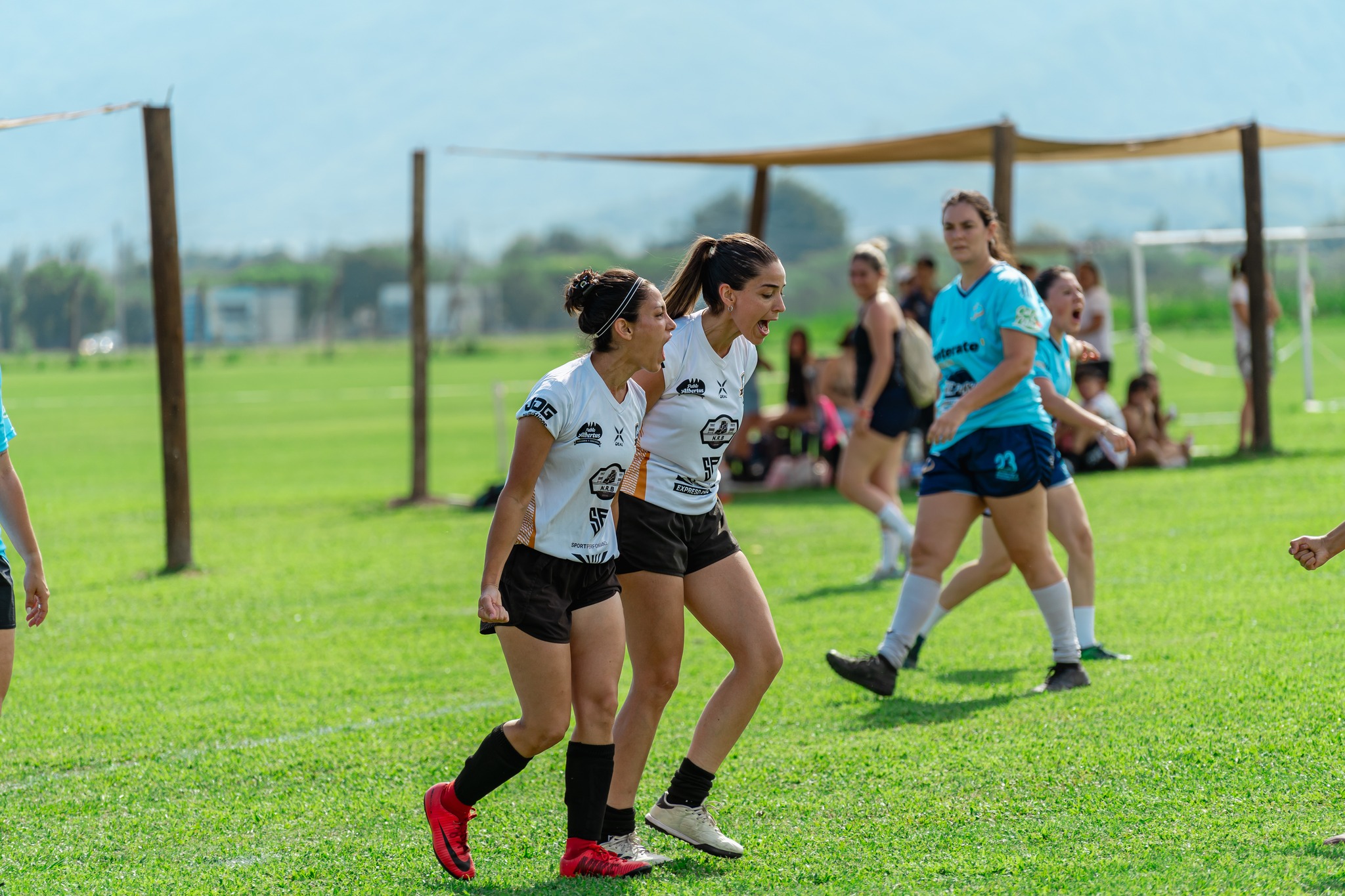  Equipo 0055 -  - Soccer - TLCF 2024 - Futbol - 13a Fecha Torneo Clausura 2024 B (#TLCF24F13TCB) Photo by:  | Siuxy Sports 2024-11-16
