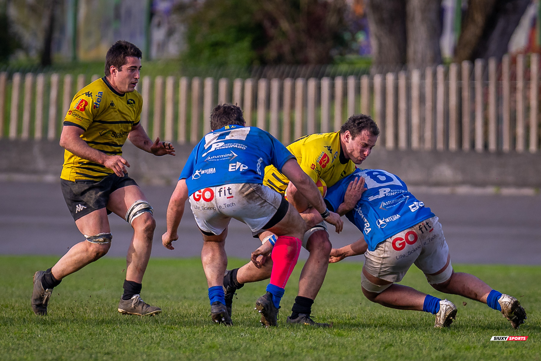  Getxo Artea Rugby Taldea - Real Oviedo Rugby - Rugby - FER 2025 - DHB - Getxo RT (43) vs (19) Oviedo (#FER25DHBGRTOVI03) Photo by: Fredy Monfoto | Siuxy Sports 2025-03-29