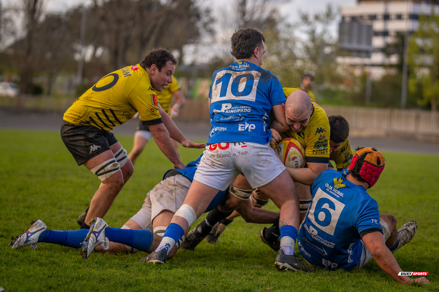  Getxo Artea Rugby Taldea - Real Oviedo Rugby - Rugby - FER 2025 - DHB - Getxo RT (43) vs (19) Oviedo (#FER25DHBGRTOVI03) Photo by: Fredy Monfoto | Siuxy Sports 2025-03-29